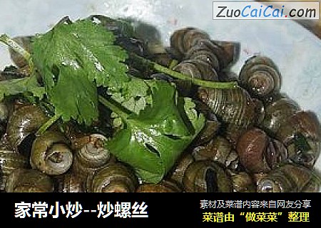 家常小炒