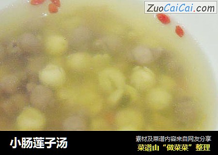 小肠莲子汤