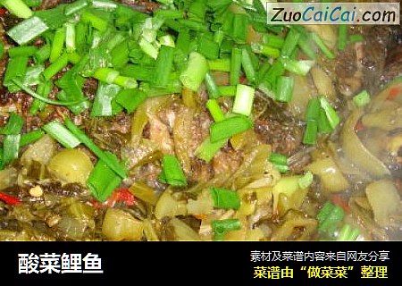 酸菜鲤鱼