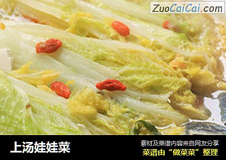 上汤娃娃菜