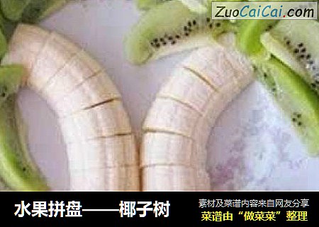 水果拼盘——椰子树