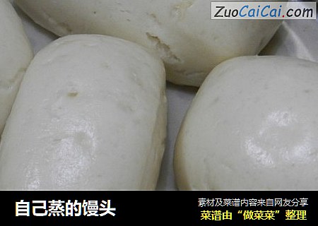 自己蒸的馒头