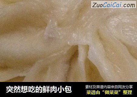 突然想吃的鲜肉小包
