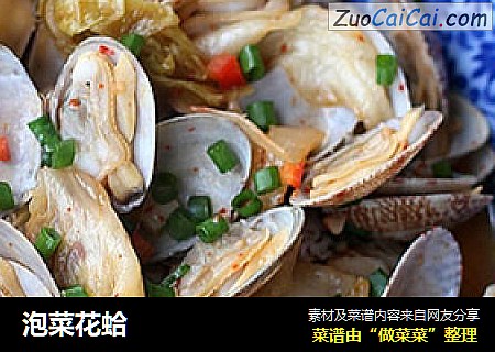 泡菜花蛤