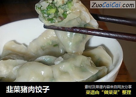 韭菜猪肉饺子