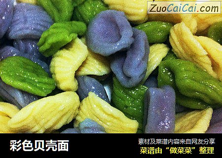 彩色贝壳面