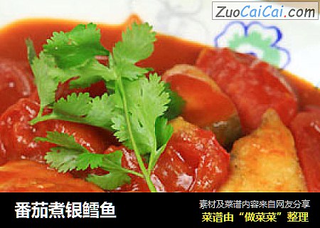 番茄煮银鳕鱼