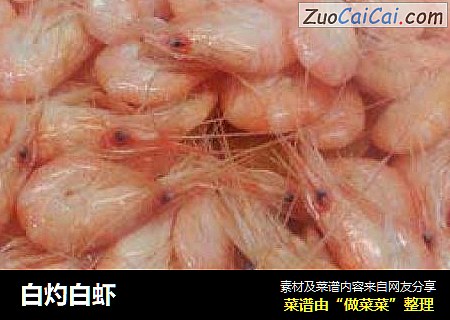 白灼白虾