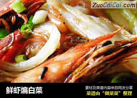 鲜虾煸白菜