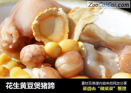 花生黄豆煲猪蹄