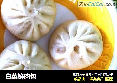 白菜鲜肉包
