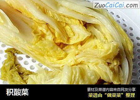 积酸菜