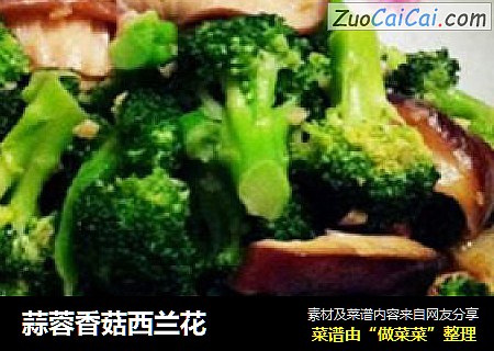 蒜蓉香菇西兰花