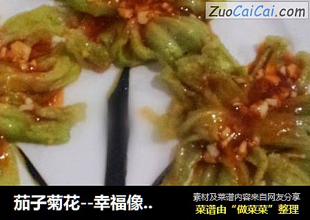 茄子菊花--幸福像花儿一样