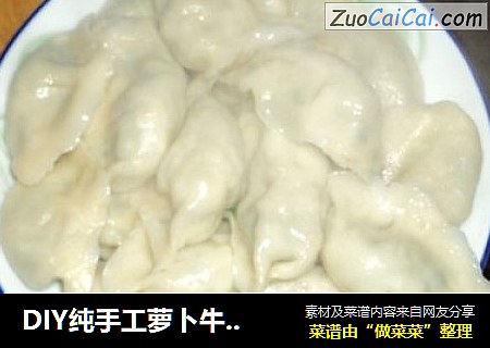 DIY纯手工萝卜牛肉水饺