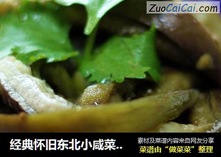 经典怀旧东北小咸菜——蒜茄子