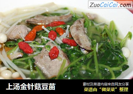 上汤金针菇豆苗