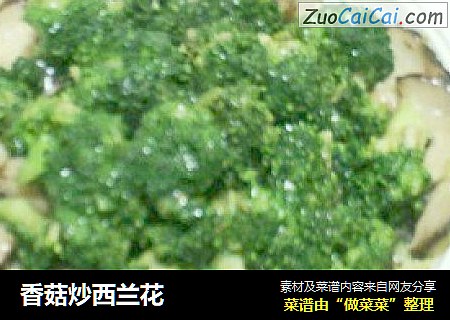 香菇炒西兰花