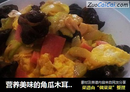 营养美味的角瓜木耳鸡蛋