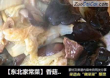 【东北家常菜】香菇木耳炒白菜