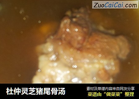 杜仲灵芝猪尾骨汤
