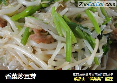 香菜炒豆芽
