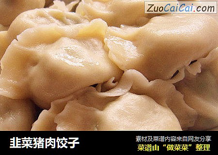 韭菜猪肉饺子