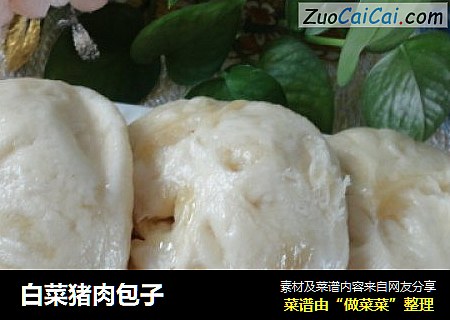 白菜猪肉包子