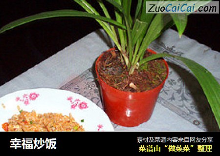 幸福炒饭