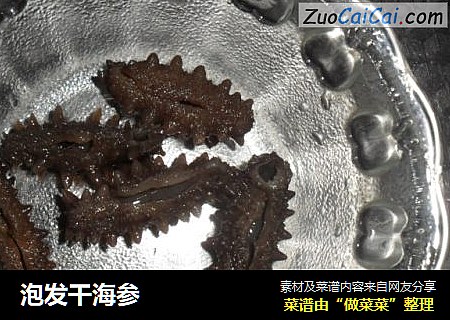泡发干海参