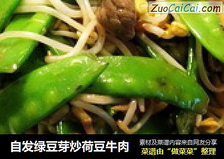 自发绿豆芽炒荷豆牛肉