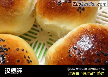 汉堡胚