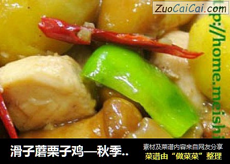 滑子蘑栗子鸡—秋季进补佳品