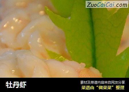 牡丹虾