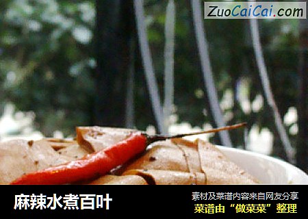麻辣水煮百叶