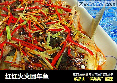 红红火火团年鱼