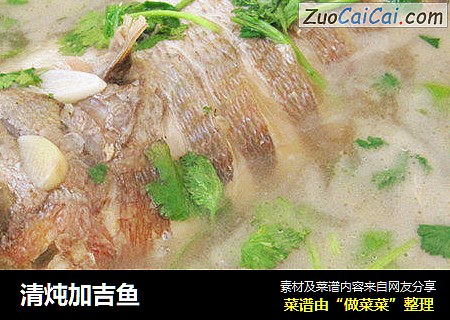 清炖加吉鱼