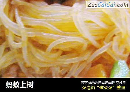 蚂蚁上树
