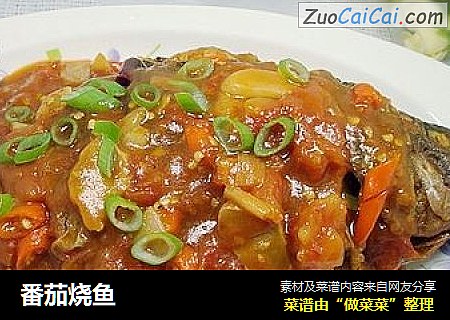 番茄烧鱼