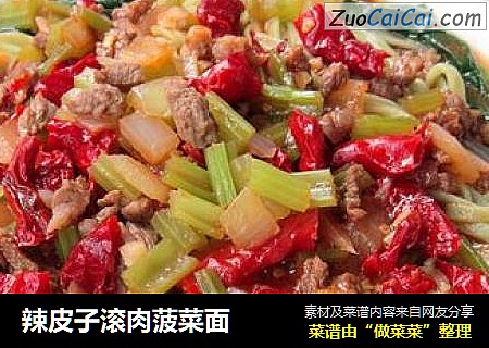 辣皮子滚肉菠菜面