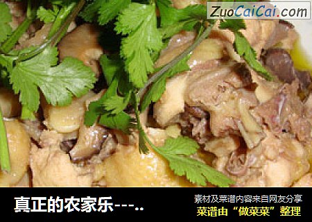 真正的农家乐----茶油香菇蒸鸡