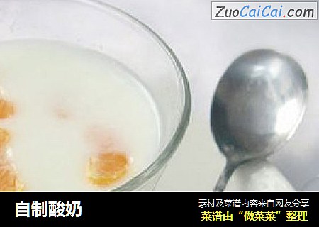 自制酸奶
