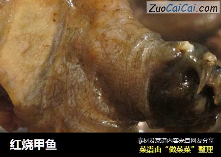 红烧甲鱼