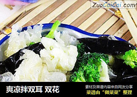 爽凉拌双耳双花