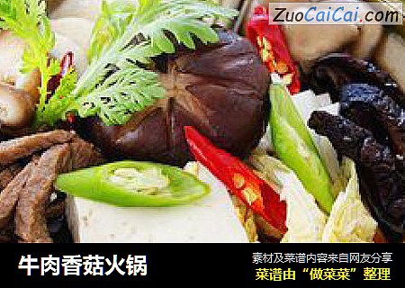 牛肉香菇火锅