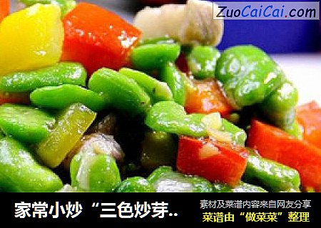 家常小炒“三色炒芽豆”