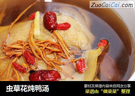 虫草花炖鸭汤