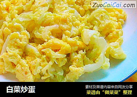白菜炒蛋