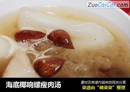 海底椰响螺瘦肉汤