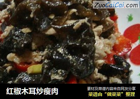 红椒木耳炒瘦肉